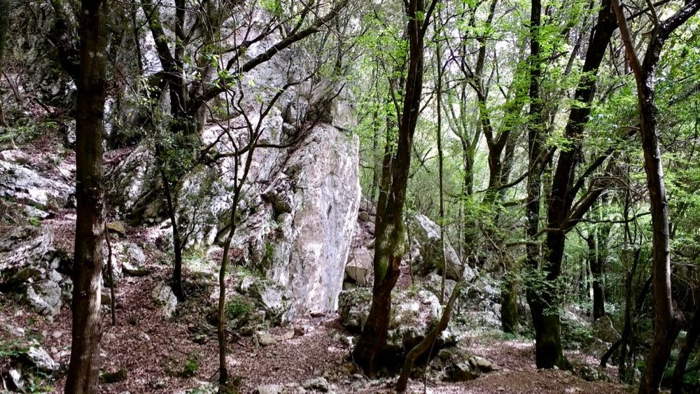 Pollino National Park