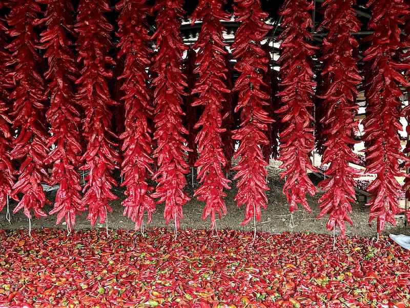 Peppers drying in Senise