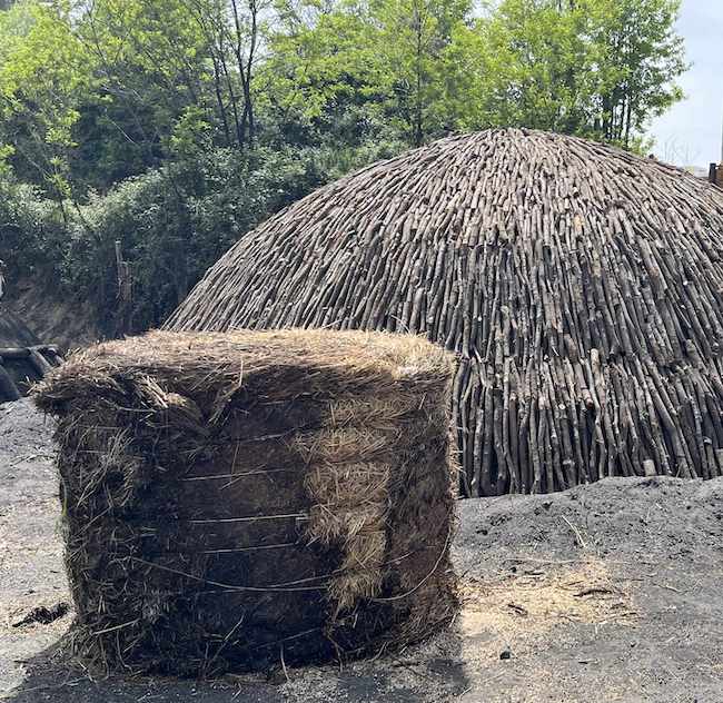 Traditional construction of the "carbonaia"